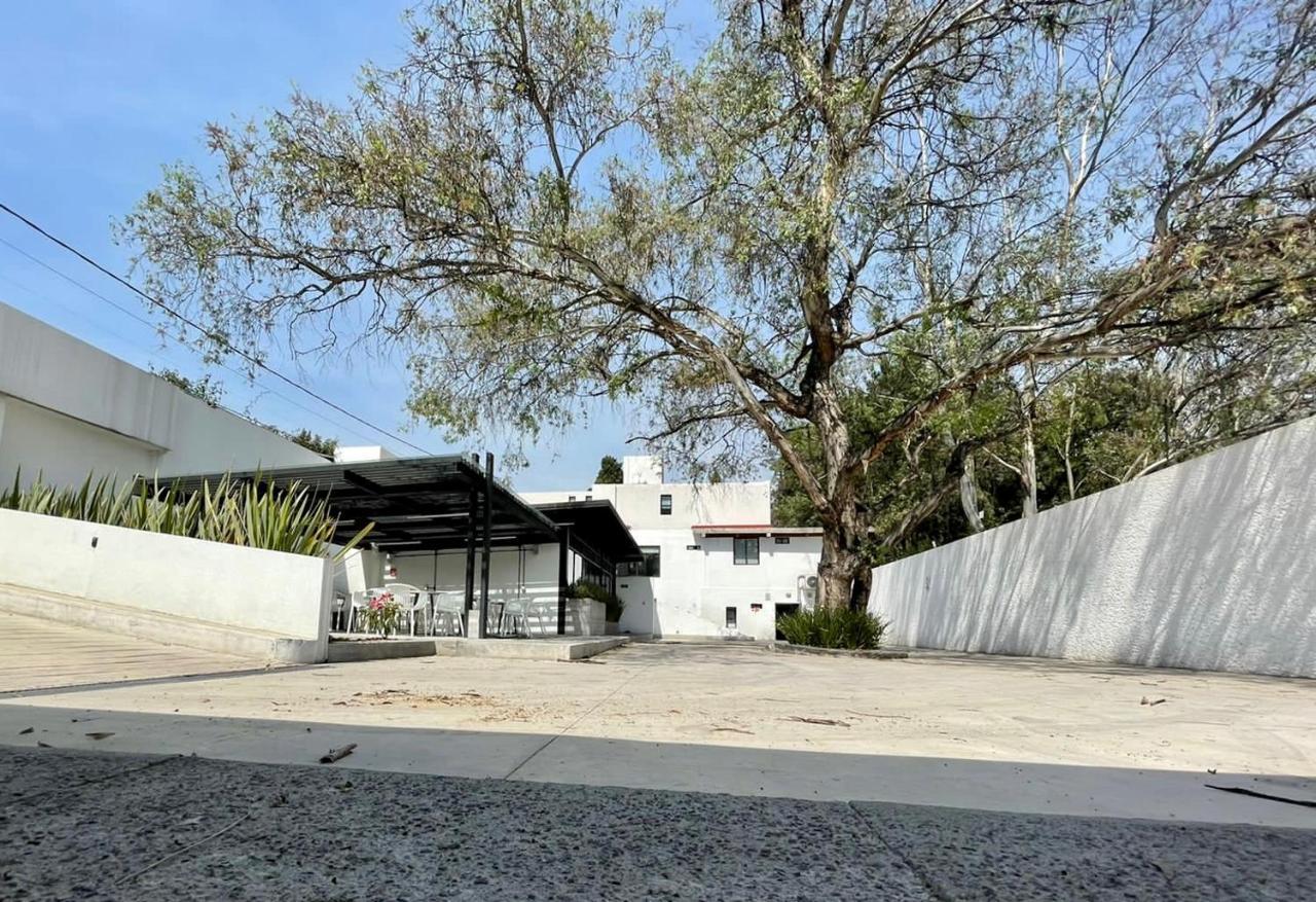 墨西哥城Casa Bonsai住宿加早餐旅馆 外观 照片