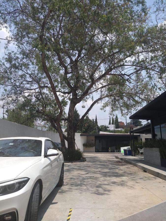 墨西哥城Casa Bonsai住宿加早餐旅馆 外观 照片